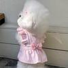 Pet Skirt Teddy Dress Bichon Frize Pomeranian Cat Yorkshire Small Dog Dog Clothes Summer Thin Style