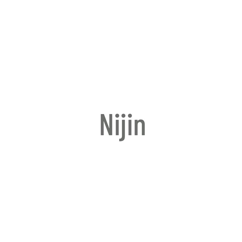 Nijing 96599 Iridium Spark Plug