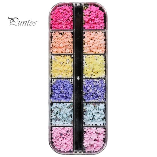 1 Box 3D Flower Nail Charms Multifunctional 12 Grid Design Phone Cases DIY Crafts Nail Art Supplies for Women
