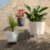 Breathable Holes Visible Water Level Flower Pot Lazy Automatic Water-Absorbing Flowerpot Garden Supplies