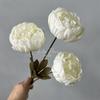 3heads Peony Cored Peony Artificial Flower Fake Rose Wedding Living Room Decoration
