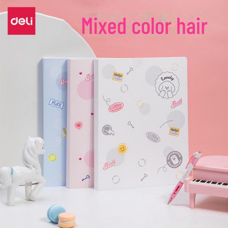 A4 Test Paper & Certificate Storage Bag for Students