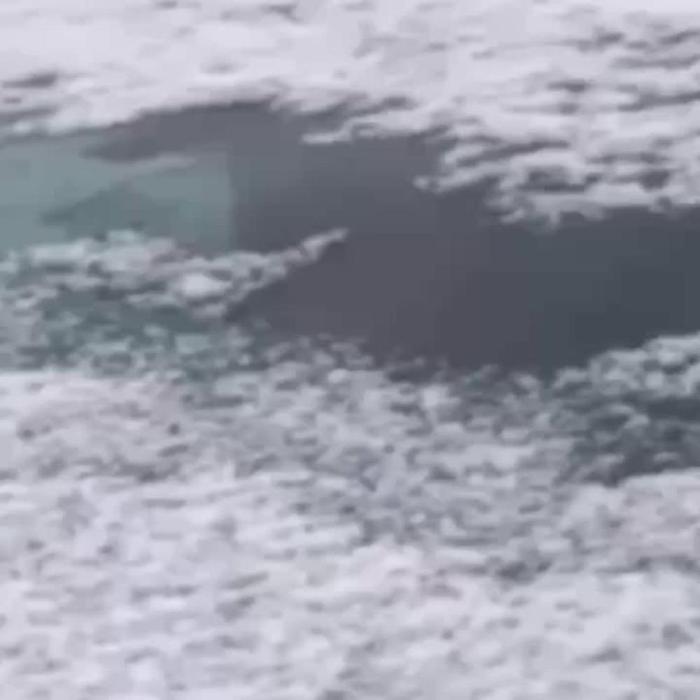 Auto-Schneeabdeckung, universeller Anti-Schnee-Schutz für die Windschutzscheibe vorne und hinten, Visier, Staubschutz, Winter-Windschutzscheiben-Sonnenschutz