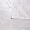Hengyuanxiang Yadi All-Season Cooling Quilt