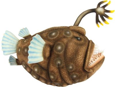 BH8590 HANSA Peixe-diabo 40