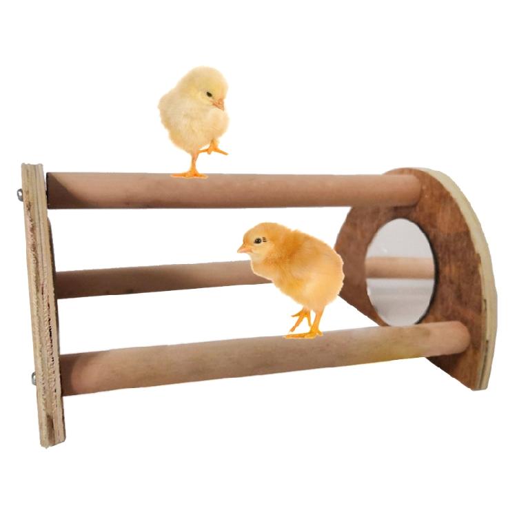 Chick Perch for Chicks Wood Stand with Mirror Roost Training Bar for Baby Chicks