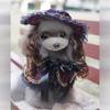 Dog Cape British Elegant Trench Coat Four Seasons Can Wear Cross-dressing Shawl Handsome Cute Pet Clothes