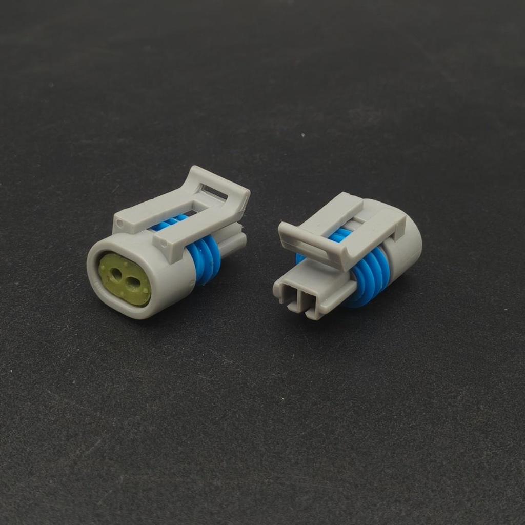 2-Wire Automotive Wiring Harness Connector Plug for Electronic Injection