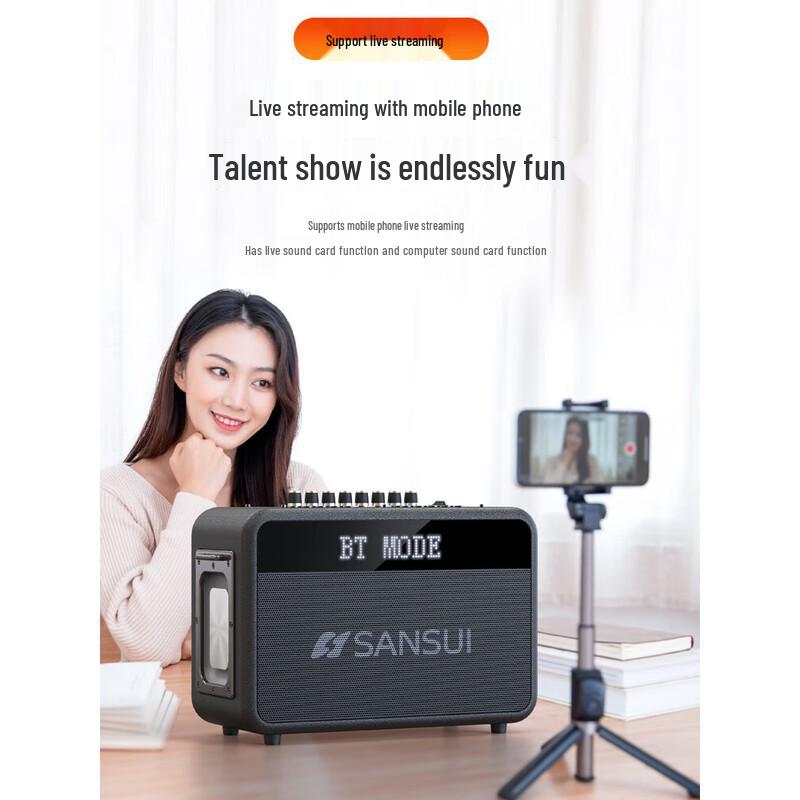 SANSUI G13 High-Power Portable Bluetooth Karaoke Machine with Dual Mics