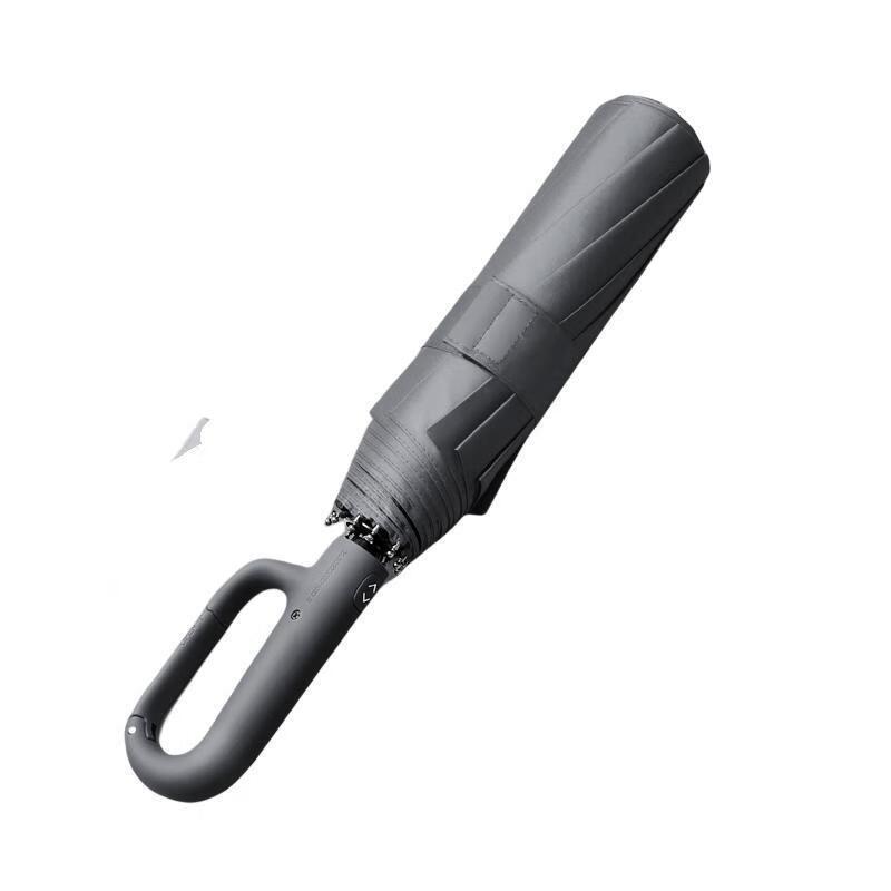 PALONY Extra-Large Fully Automatic Dual-Use Umbrella