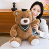 Dr. Bear Doll Plush Toy Graduation Hat Teddy Bear Student Graduation Memorial Gift Graduation Bear Doll