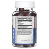 Probiotic with Prebiotic Fiber Gummies, Sugar Free, Berry, 60 Gummies