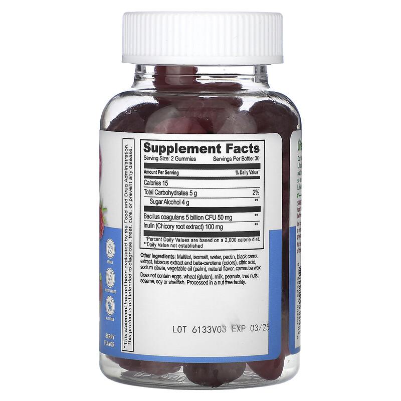 Probiotic with Prebiotic Fiber Gummies, Sugar Free, Berry, 60 Gummies
