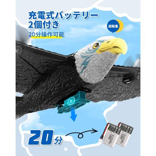 RC Glider, RC Airplane for Kids and Beginners, 2 Batteries Included, EPP Material, Lightweight, Durable, Impact Resistant, 6-Axis Control, 2.4Ghz, 2-C