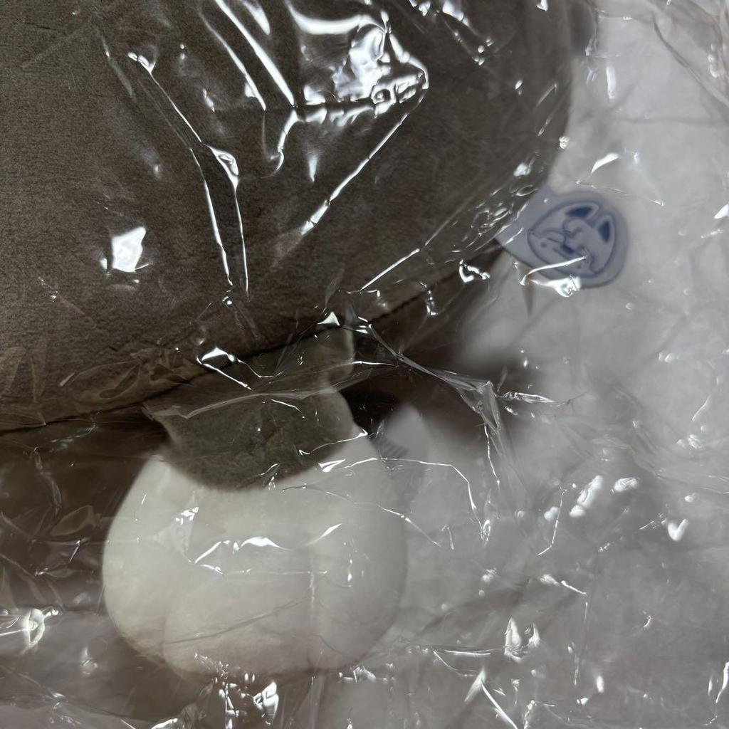 [USED] Stray Kids Wolf Chan Bang Chan Hip Cushion