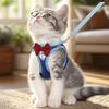 Reflective Breathable Kitten Vest Harness and Leash Set