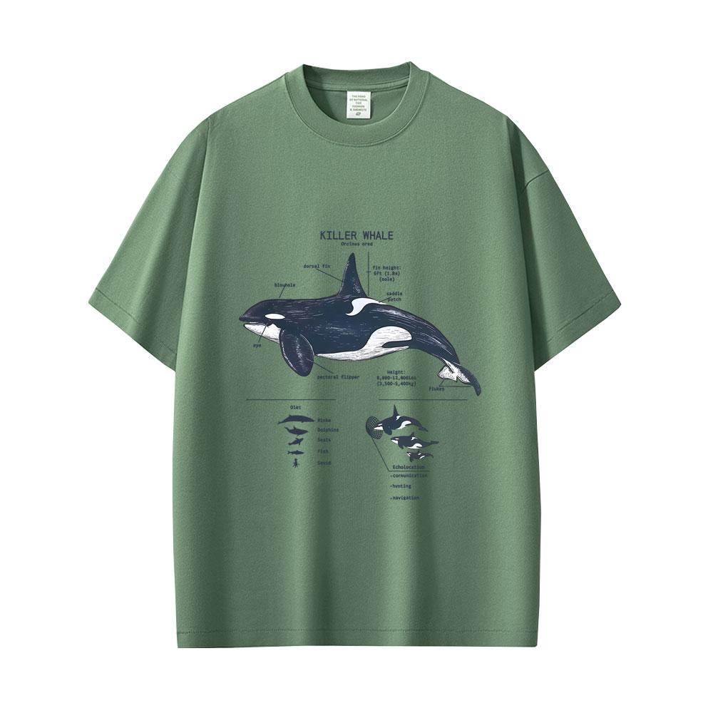 Marine Animals Killer Whale Anatomy Graphic Tshirt Mens Womens Casual Funny T Shirts Tops Unisex Fashion Oversized Streetwear