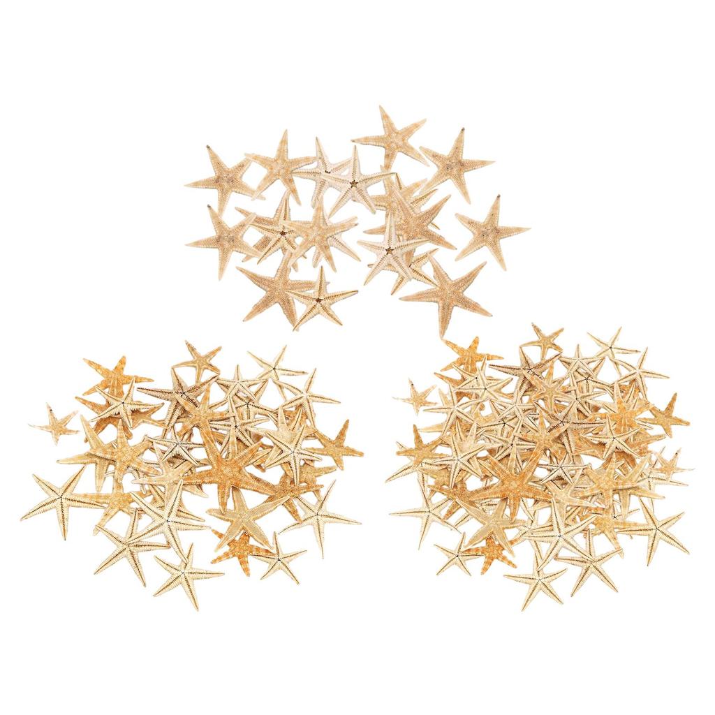 Mini Natural Flat Tan Starfish Seashells Beach Wedding Decor Craft Supplies