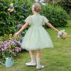 Klassisches Teddy-Mädchen-Netz-Prinzessinnenkleid