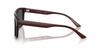 Sunglasses 0EA4232F TRANSPARENT BROWN 57 [Emporio Armani]