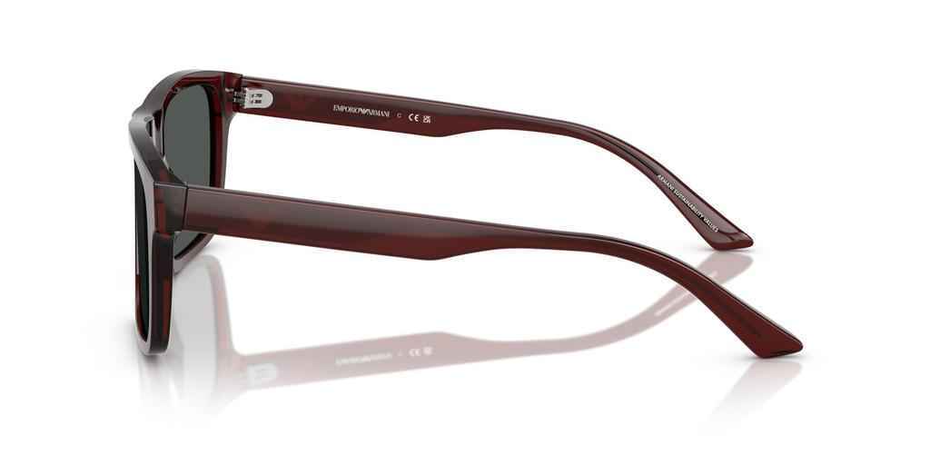 Sunglasses 0EA4232F TRANSPARENT BROWN 57 [Emporio Armani]