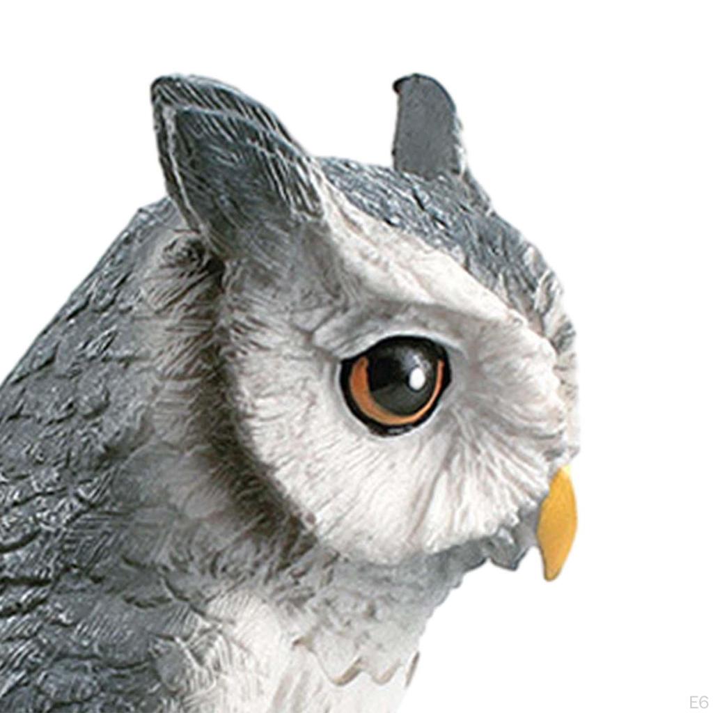 Owl Figurine for Educational Purposes And Home Display