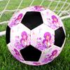Pallone da Calcio Tema Aphmau Misura 5, Adatto Sia per Partite Indoor che Outdoor, un Regalo Adatto a Tutti.