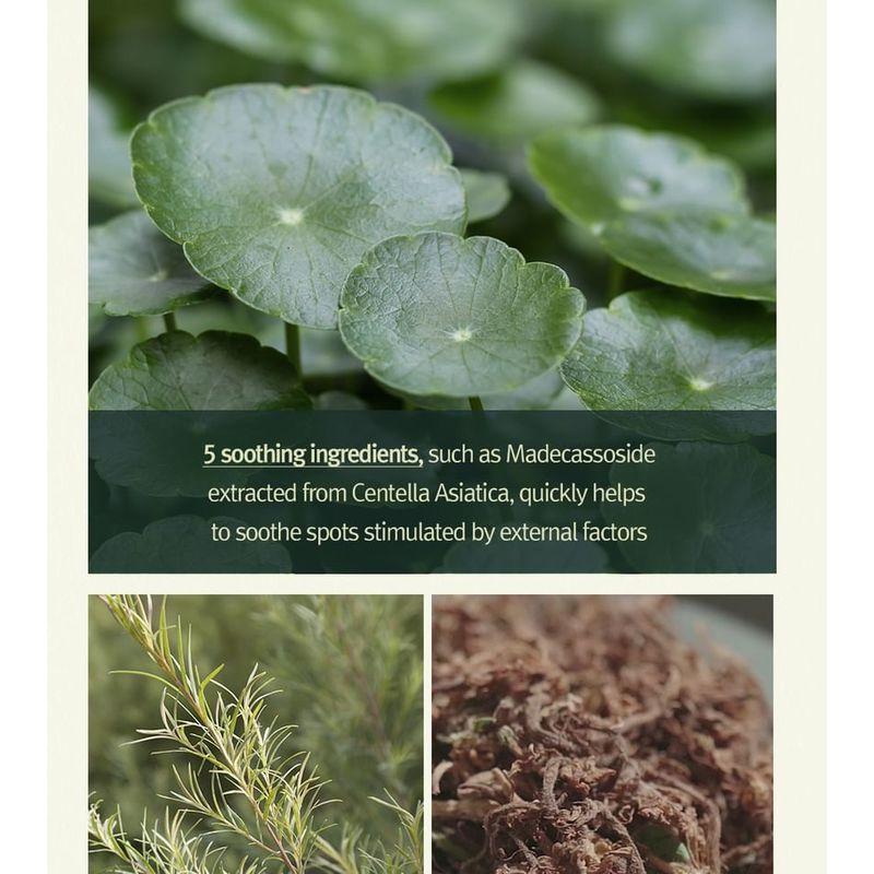 Pyunkang Yul Calming Madecasoside Spot Cream