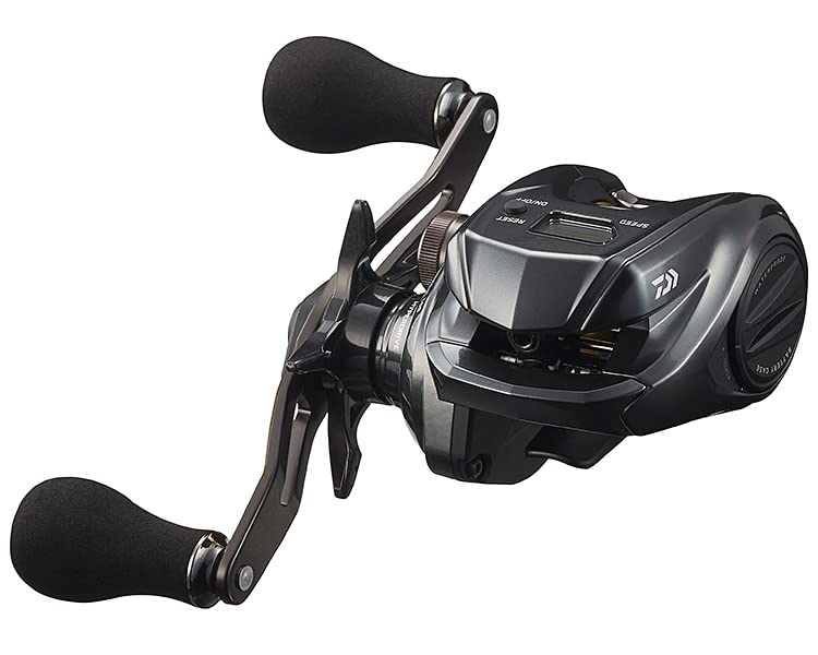 

DAIWA Tierra IC 100