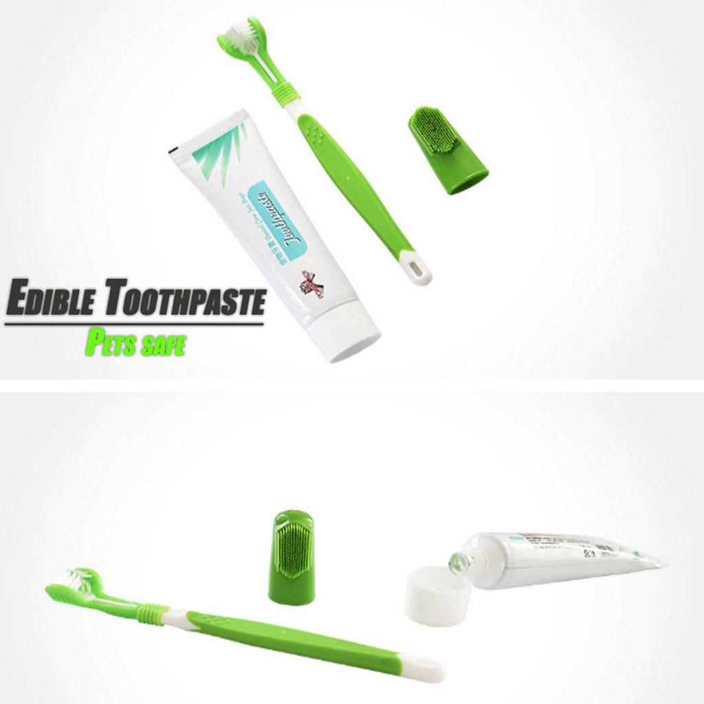 Dog Toothbrush And Toothpaste Best Oral  Care Fresh Breath Teeth Cleaning