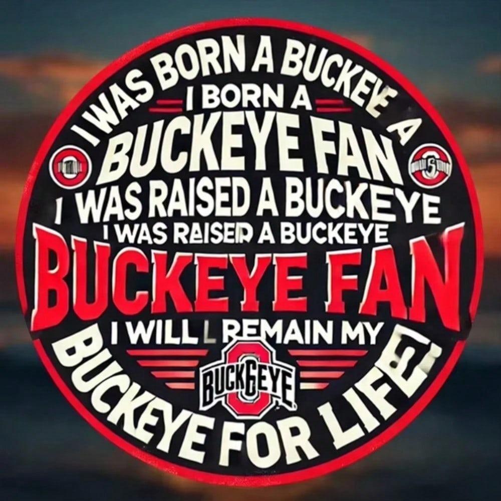 Ohio Buckeye Fan Metal Wall Art For Sports Bar Man Cave Home Decor