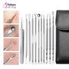 10-Piece Stainless Steel Blackhead and Acne Remover Set