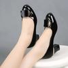 2026 Temperament Ladies Heeled Shoes Office Square Heel Pumps Women's High Heels Dress Plus Size Chunky Heel Shoes for Women