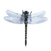 Künstliche Libellen-Dekoration mit Kordel/Anstecknadel Tragbar Outdoor Camping Mücken Fliegenabwehr Simuliertes 3D Libellenmodell Ornament Kinder Lernspielzeug