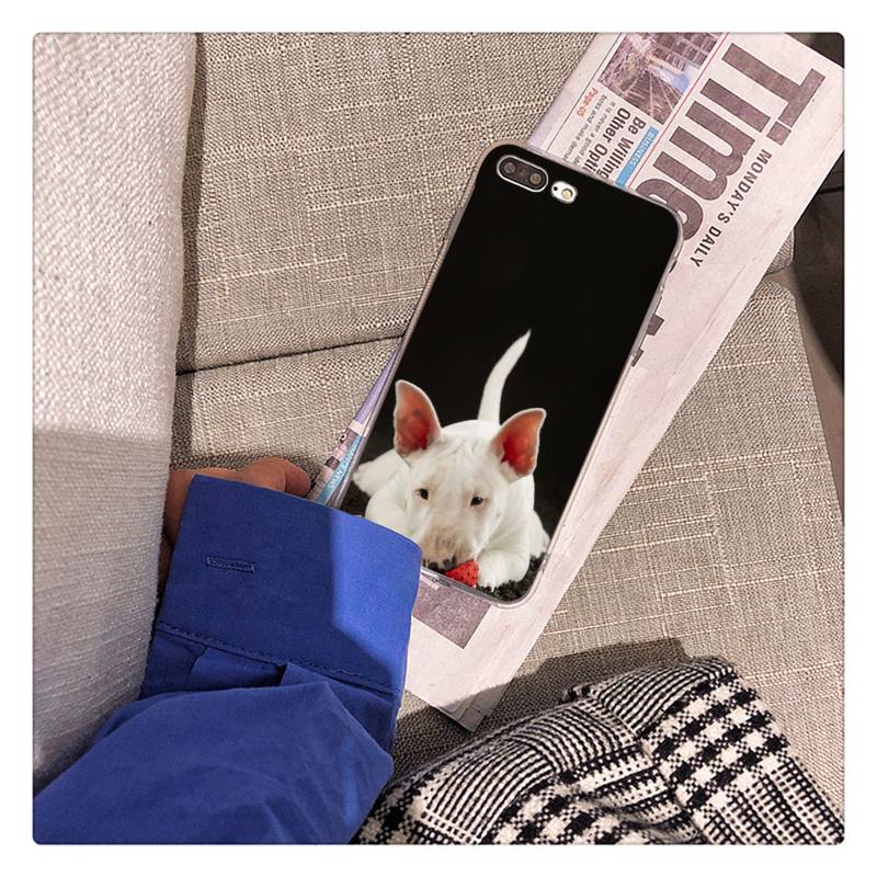 Bullterrier Bull Terrier Dog Phone Case For iPhone 13 X XS MAX 6 6s 7 7plus 8 8Plus 5 5S Se 2020 XR 12 11 Pro Max Fundas Capa