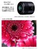Panasonic Single Focus Macro Lens for Micro Four Thirds Lumix G MACRO MEGA Black 30mm/ F2.8 ASPH. / O.I.S. H-HS030