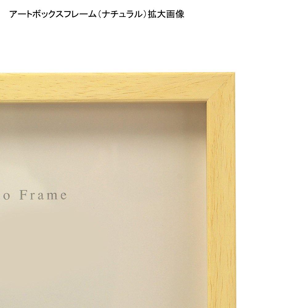 Art Print Japan APJ Frame Art Box Frame B3 364x515 Pastel Pink 1000020471
