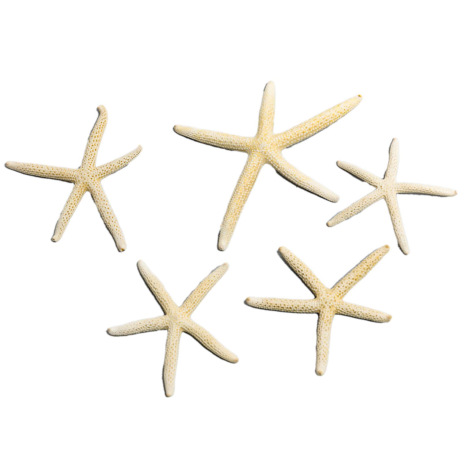 

Декор Морская звезда для аквариума Уникальный красивый набор украшений в виде морских звезд для дома, аквариума, DIY фоторамки