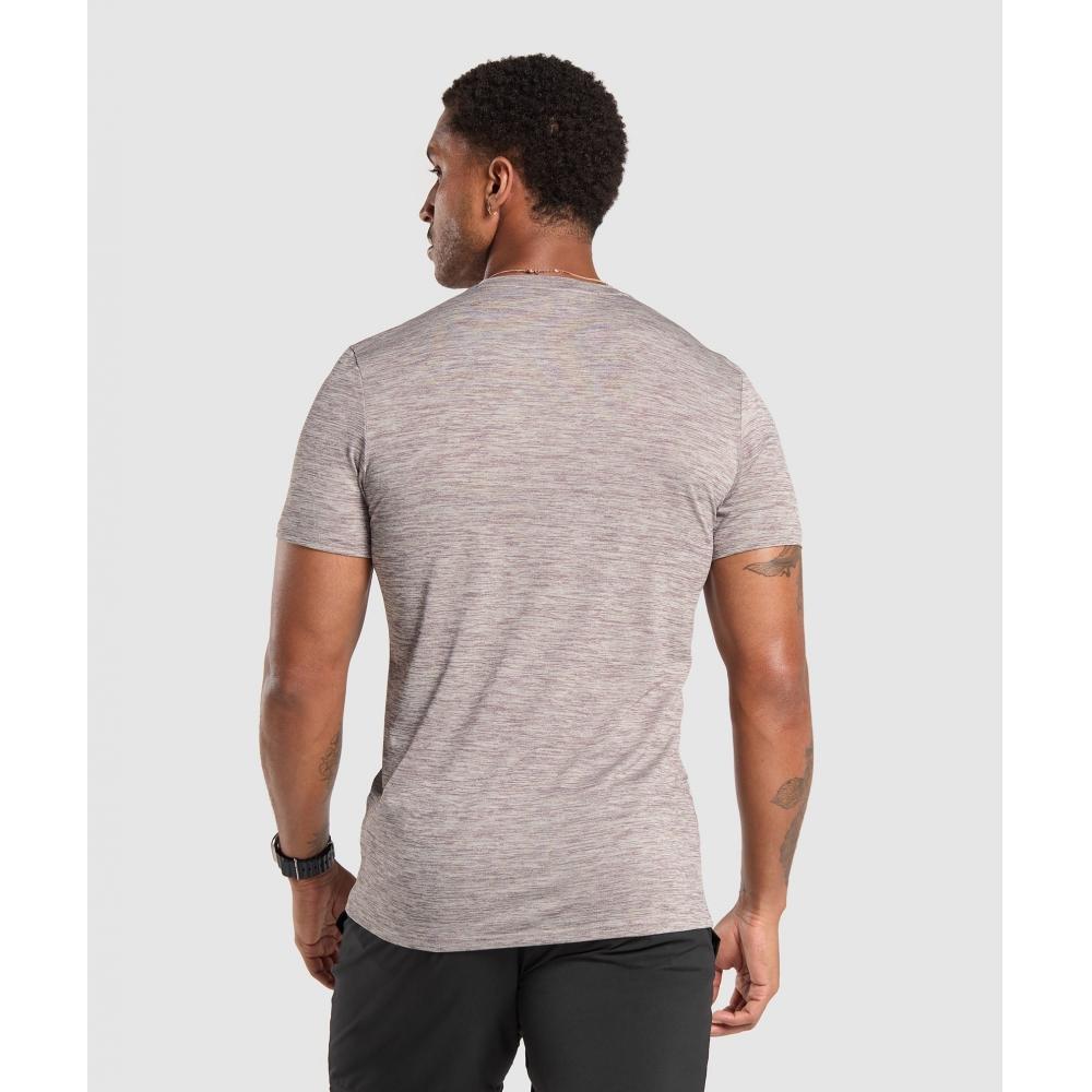 Gymshark Arrival Marl T shirT Pebble Grey Powder Mauve Marl A2a1i Gcwp