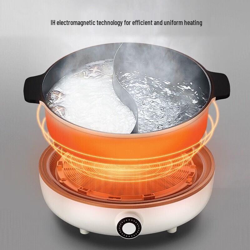 Joyoung IH Electric Split Hot Pot 4.5L CN Plug (adapter Included)