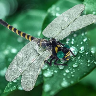 Adult Simulation-Dragonfly Mosquitoes-Repellent Model Outdoor Anti-Fly Dragonfl