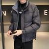 Men's Wash-Free Down Jacket - Thick, Warm Stand-Up Collar Winter Coat - Youth Fashion Casual Versatile Men's Wear