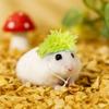 Wool Crochet Mini Hamster Wool Hat Cute Hand-knitted Pet Hat Pet Costume  Small Pet Supplies