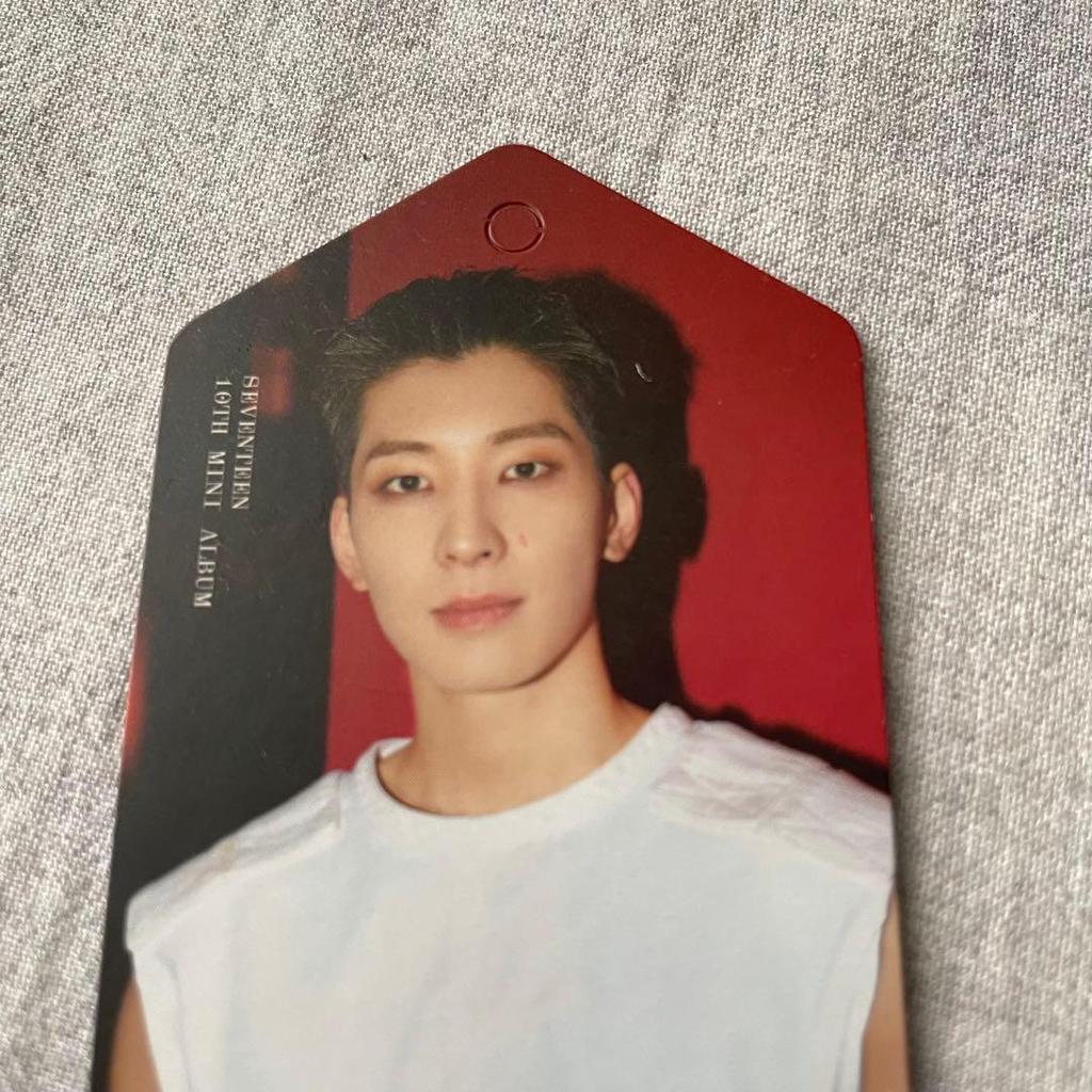 [USED] FML DX ver. SEVENTEEN trading card included