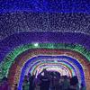 Battery-Operated LED Fairy String Lights, 10M 80 Lights