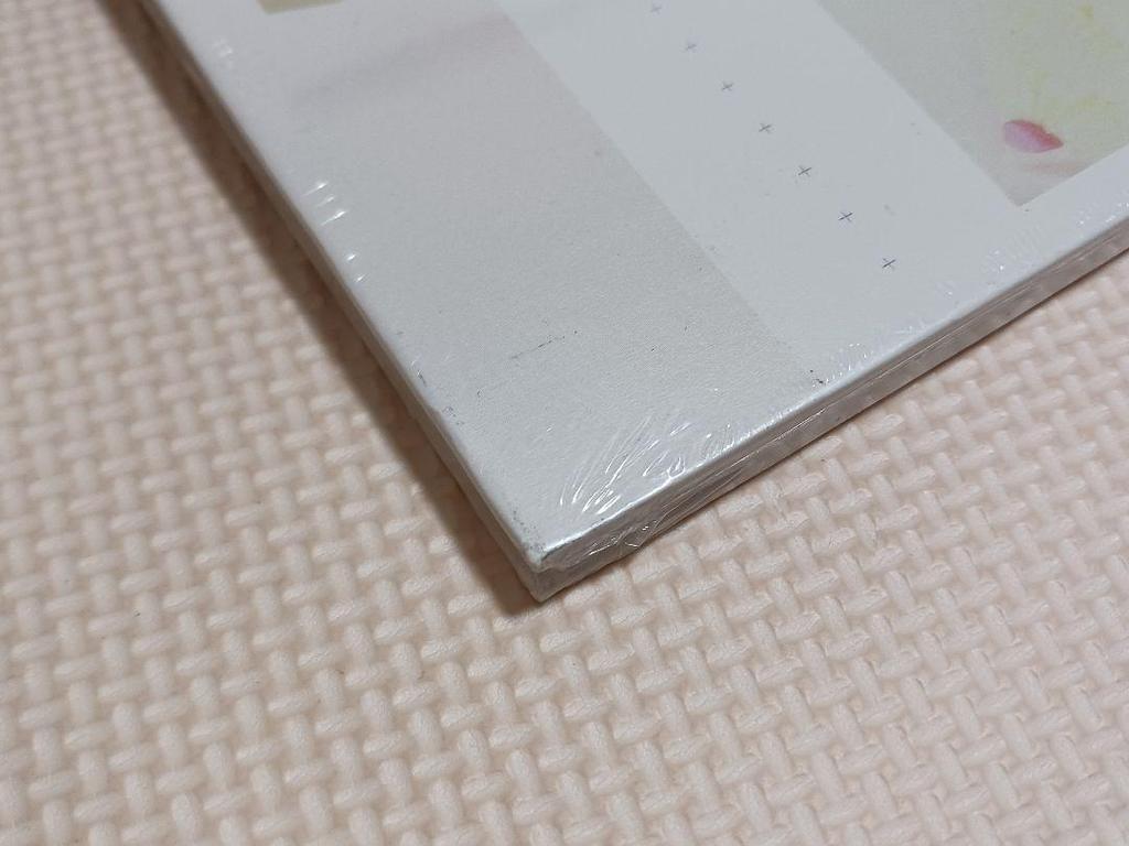 [USED] Apink Mini Album PINK LUV Korean CD