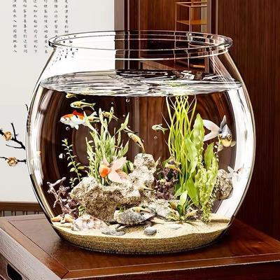 Transparent Mini Fish Tank for Desktop or Office with Micro Landscape Features