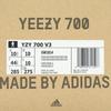 GW1814 Adidas Yeezy 700 V3 Fade Carbon Purple Grey Pink Red Brown Beige (Men's)