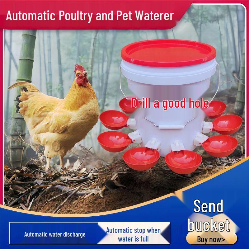 Automatic Drinking Bowl for Adult Chickens, Ducks, and Geese - Poultry Water Dispenser