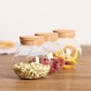 High Borosilicate Glass Airtight Jar with Cork Stopper for Moss or Terrariums